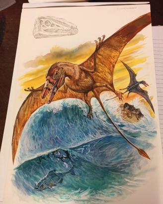 Bozzetto dinosauri eudimorphodon