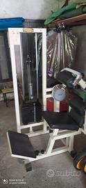 Lower Back Technogym
