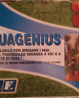 Irrigatore 