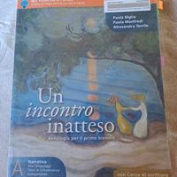 Un incontro inatteso vol. A Narrativa