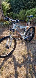 cannondale rize