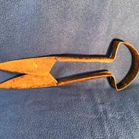 forbici antico tosa pecore in ferro