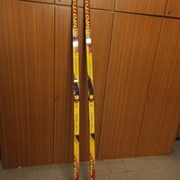 Sci di fondo skating