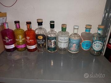 Bottiglie vuote di gin 
