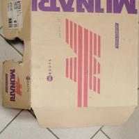 Scarponi sci discesa