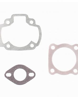 Kit guarnizioni cilindro Malossi 117236B