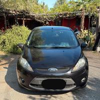 Ford Fiesta 1.4 TDCi 70CV 3 porte Van