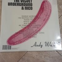 disco vinile The Velvet 