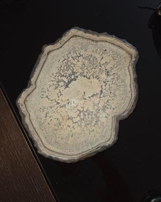 abbeveratoio vaschetta acqua per tartarughe