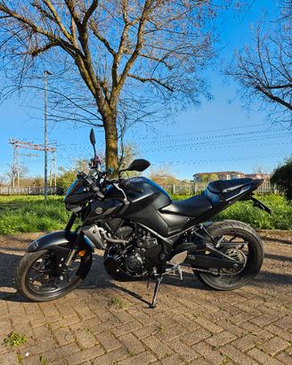 Yamaha MT-03 2023