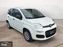 fiat-panda-1-2-pop-69-cv-5-posti-ruotino-c-
