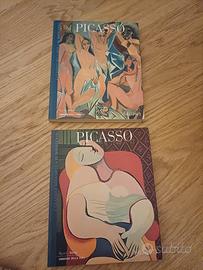 Libri su Picasso