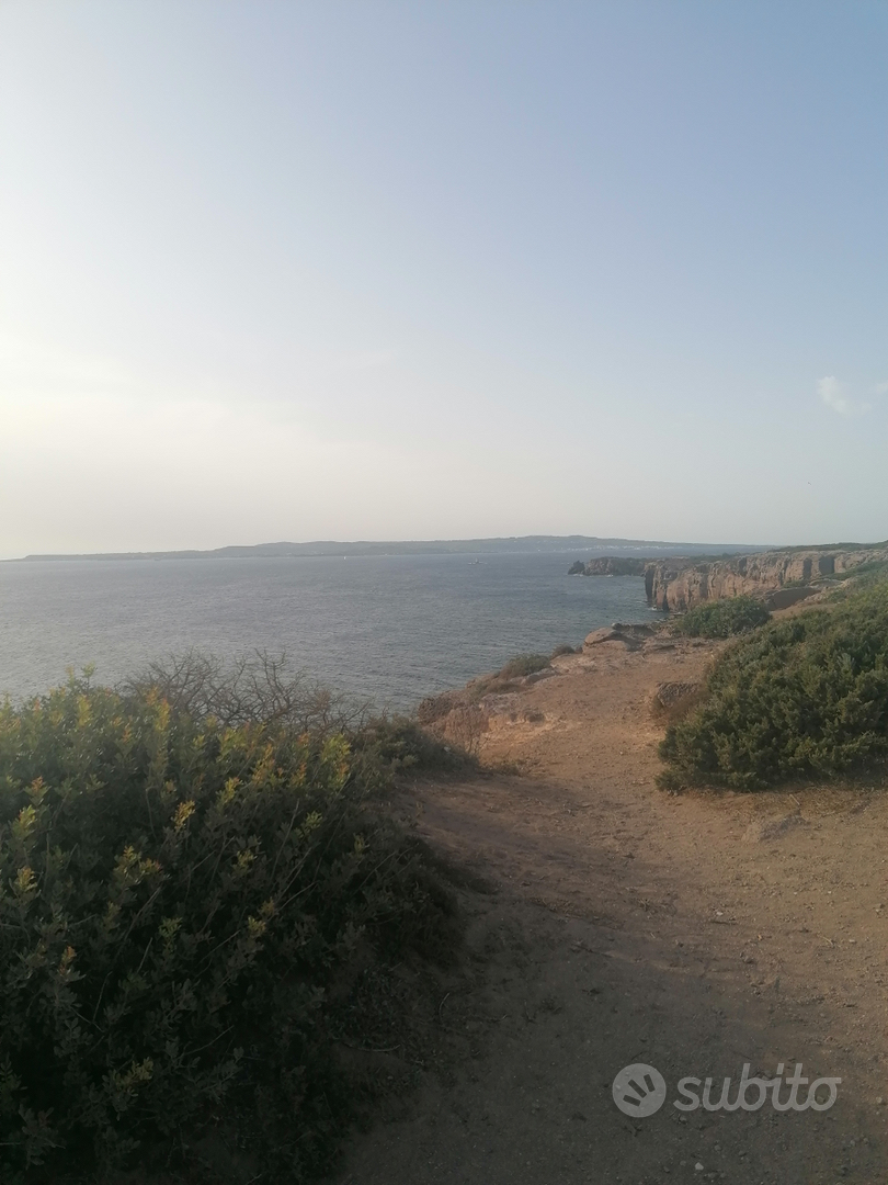 Vendita terreno agricolo Calasetta - Vista 5