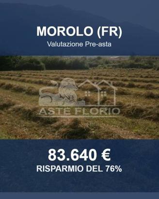 Immobile in asta di 11590 m² a Morolo