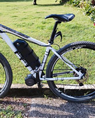 Bicicletta elettrica