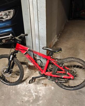 MTB bambino 