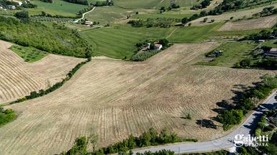 Terreno Agricolo Gradara [LG019VCG]