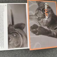 kennel x cani tipo pastore tedesco marca Feandrea