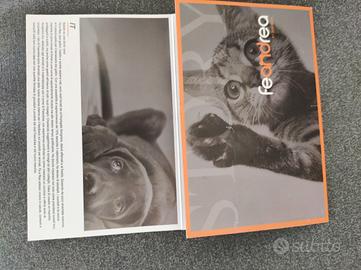 kennel x cani tipo pastore tedesco marca Feandrea