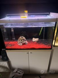 Acquario