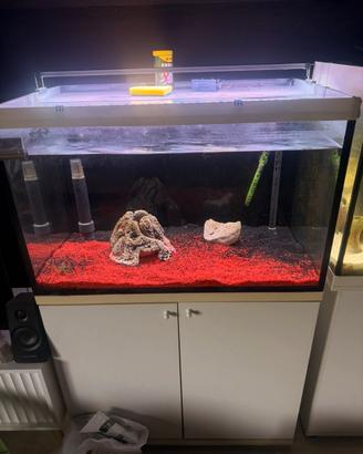 Acquario
