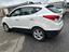 Immagine 7