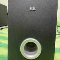 Casse e subwoofer 