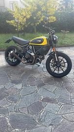 Ducati scrambler icon 800