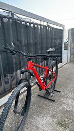 Bicicletta mountain bike