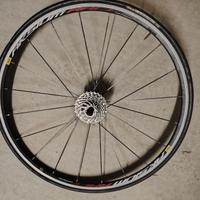 cerchio posteriore Mavic Aksium Race