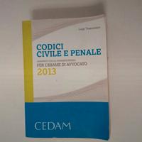 Codice Civile e Penale con la giurisprudenza