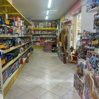 Negozio Napoli [Cod. rif 3219709ACG]