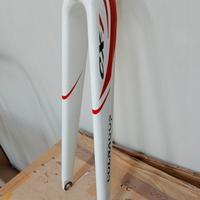 forcella colnago cx1 carbonio