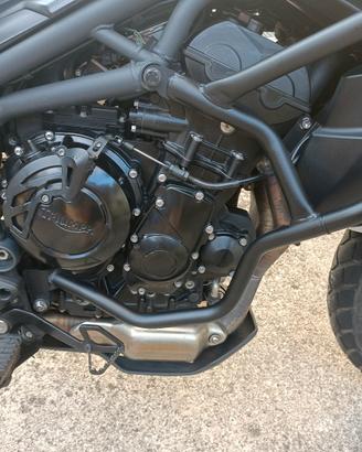 Triumph Tiger 800 abs