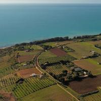 Tenuta con Fabbricato Vigneto C/DA BELICE DI MARE