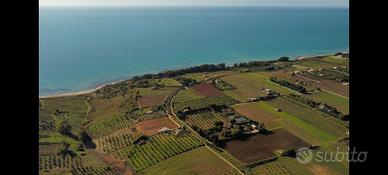Tenuta con Fabbricato Vigneto C/DA BELICE DI MARE