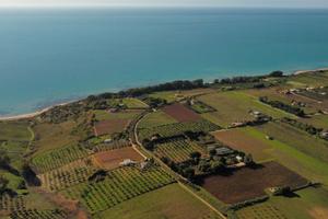 Tenuta con Fabbricato Vigneto C/DA BELICE DI MARE