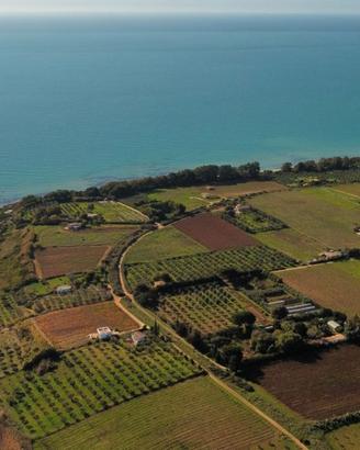 Tenuta con Fabbricato Vigneto C/DA BELICE DI MARE