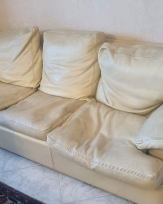 Divani e poltrone in pelle