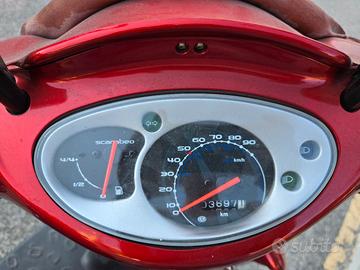 Aprilia scarabeo 100