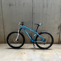 Bici enduro torpado