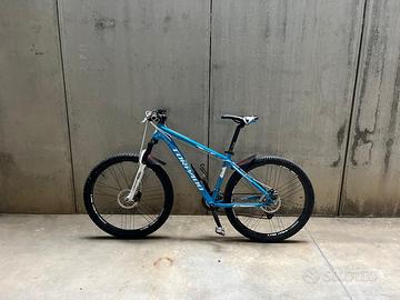 Bici enduro torpado