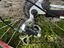 Immagine 4