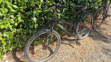 Bici mountainbike