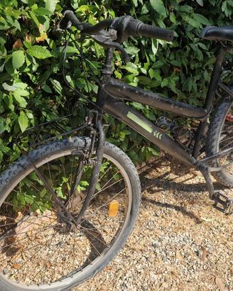 Bici mountainbike