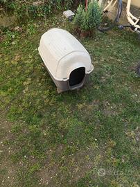cuccia per cani