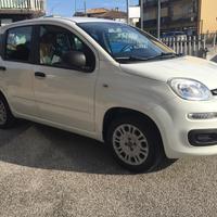 Fiat Panda 1.2 Easy X NEOPATENTATI 69 cv