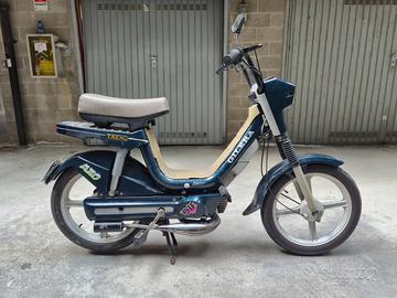 Gilera trend