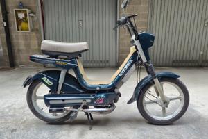 Gilera trend