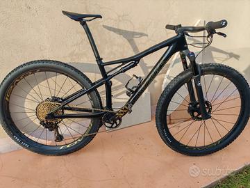 Telaio epic e Forcella specialized sworks 
